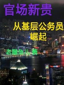 官场之扶摇直上九万里