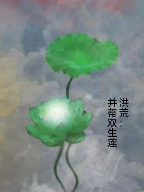 洪荒孪生 小说